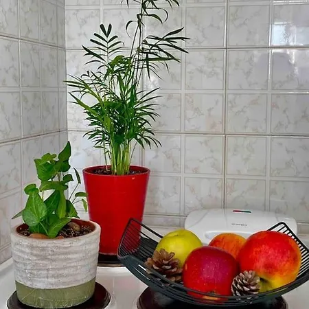 Apartman Bellissimo Naxos Naxos City