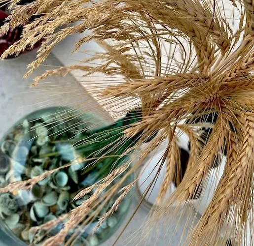 Bellissimo Naxos Naxos City