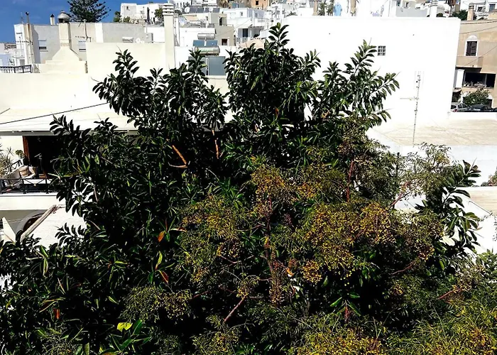 Bellissimo Naxos * Naxos City