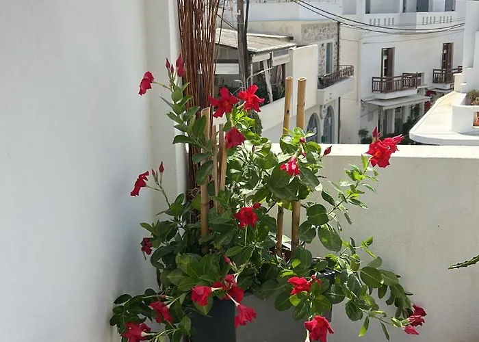 Bellissimo Naxos Naxos City