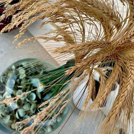 Bellissimo Naxos Naxos City